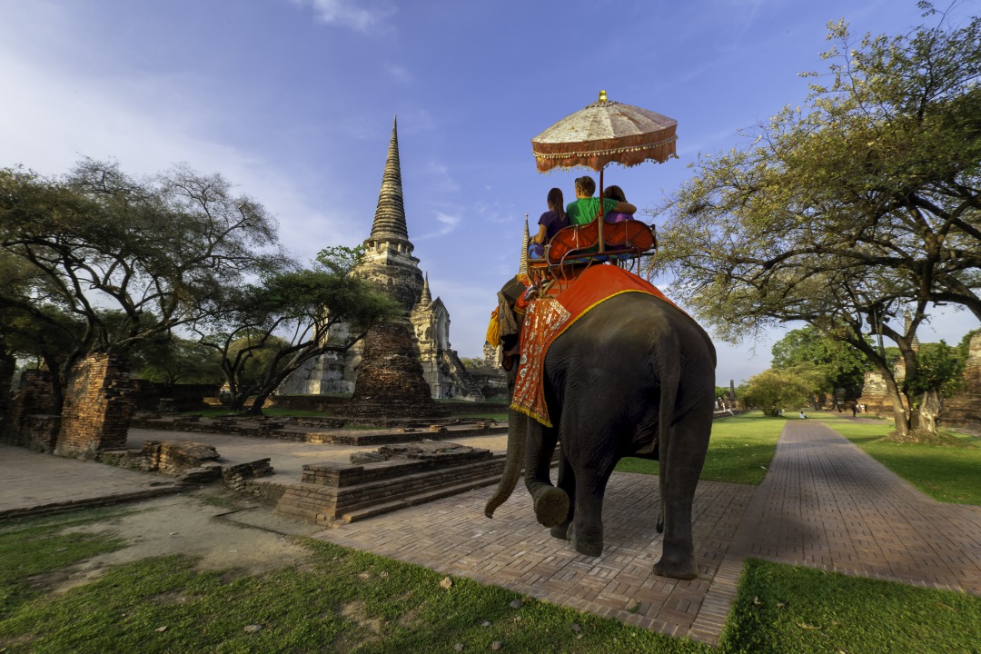 タイの象乗り観光