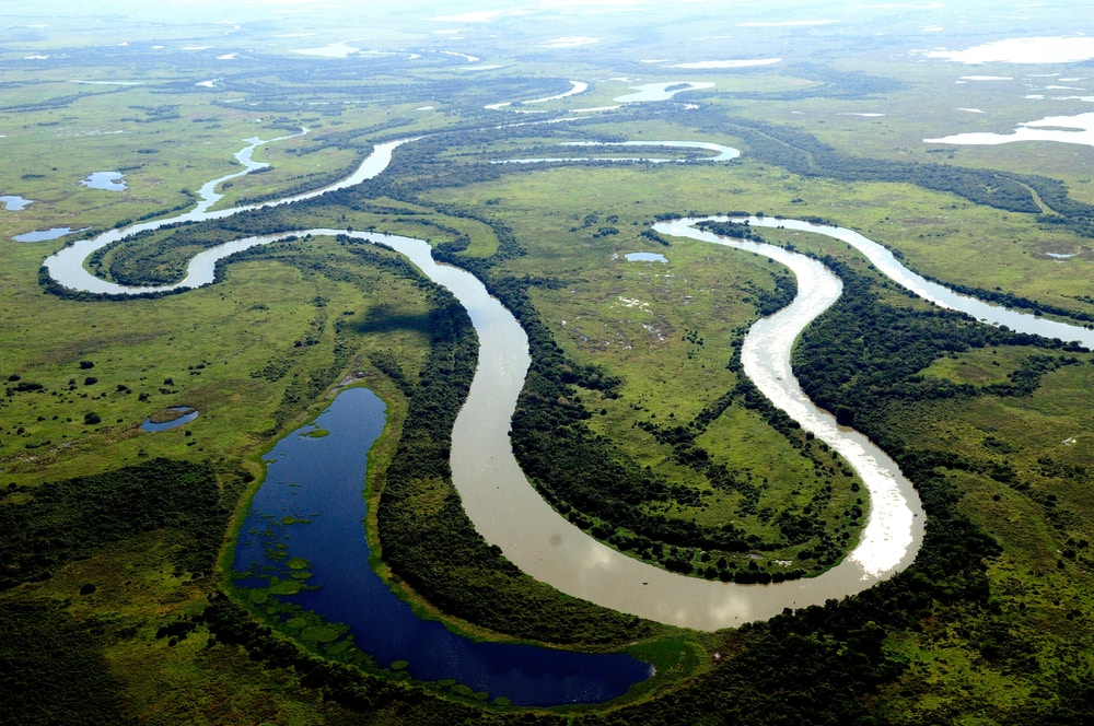 ブラジルのパンタナール