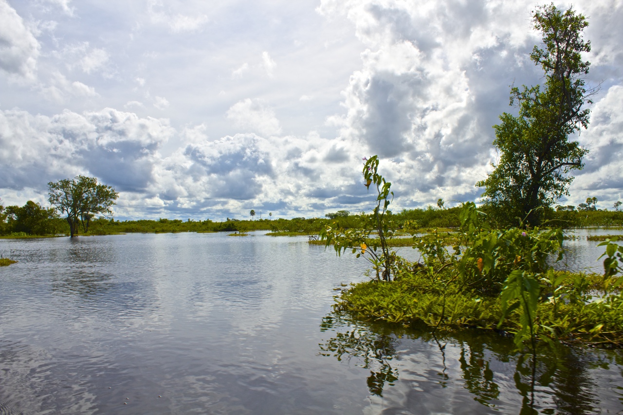 Brazil, Pantanal