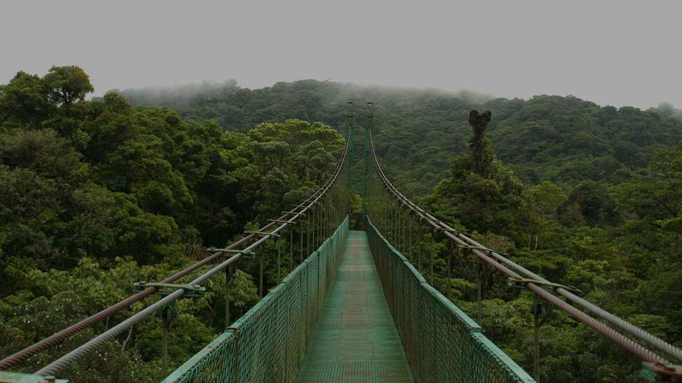 コスタリカ、モンテベルデ雲霧林保護区の吊り橋