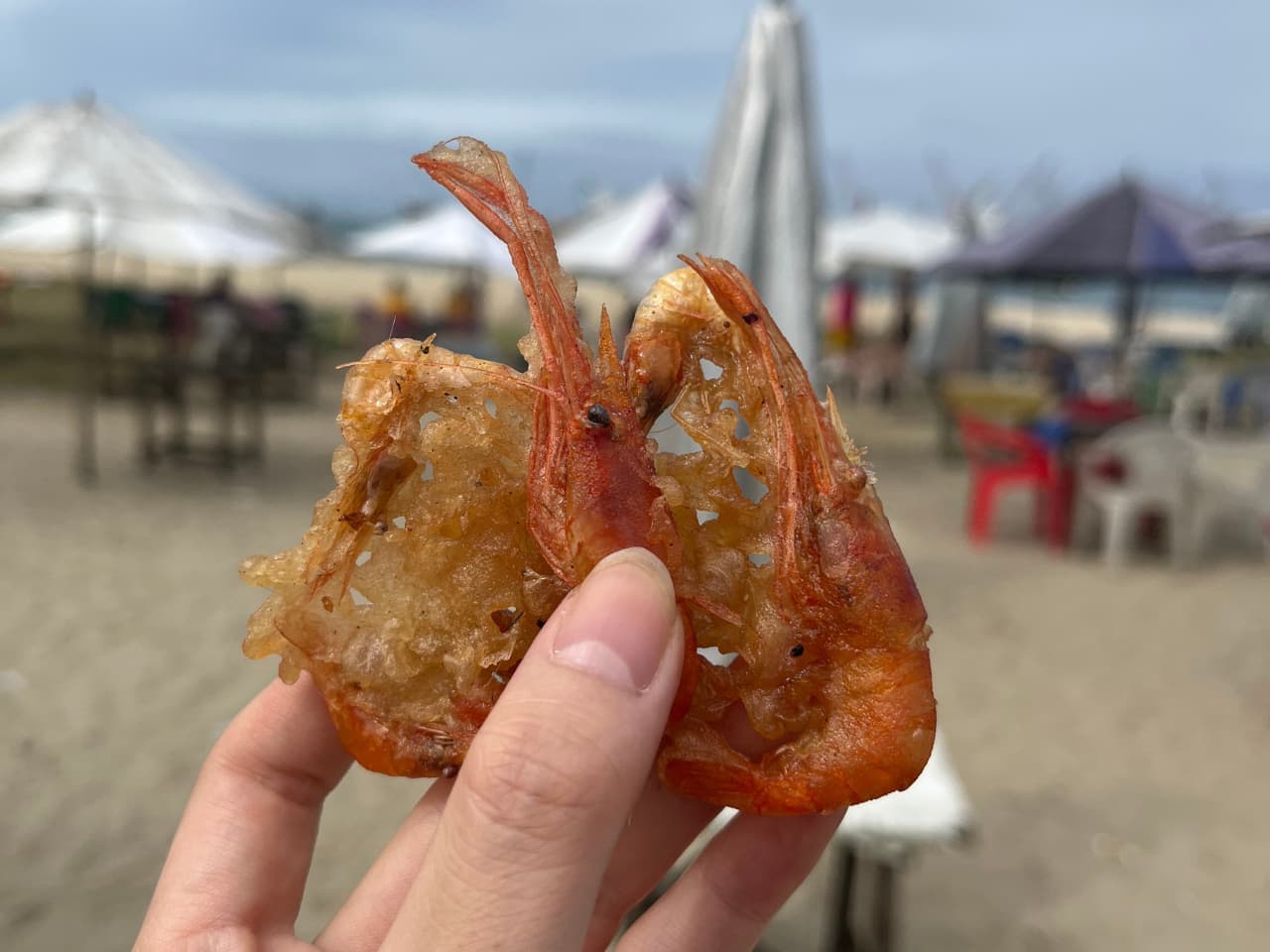 海沿いの町トゥアマシナで体験するマダガスカルの美食と文化