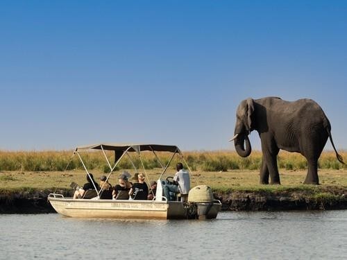 Safari in Chobe National Park, Botswana-2