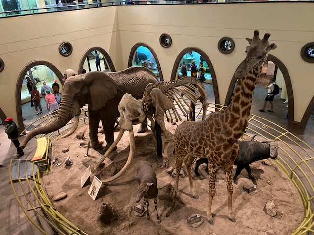 ケニアのナイロビ国立博物館