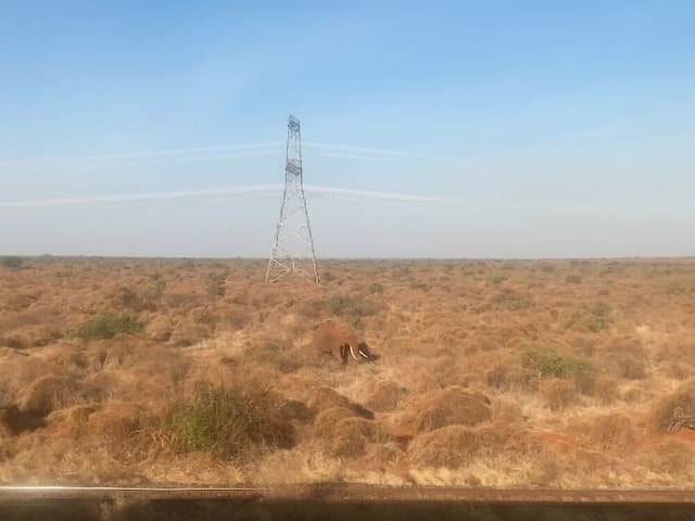 車窓から見るケニアの風景