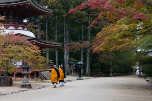 日本の高野山のお坊さん