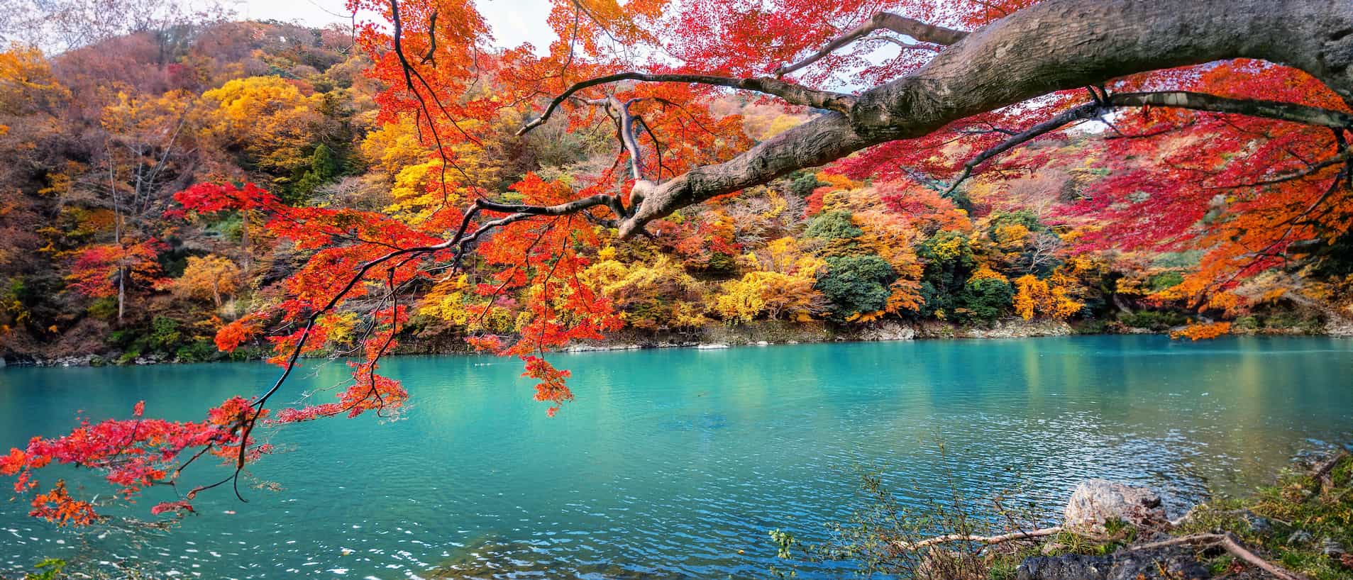 日本の嵐山にて、川と紅葉の景色