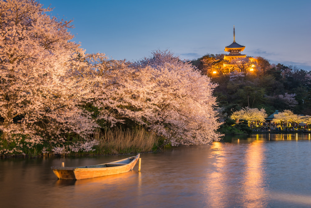 日本の三溪園