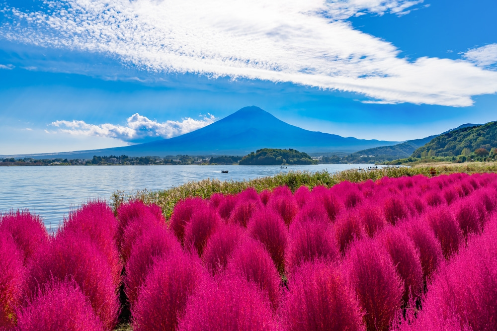 富士山と大石公園