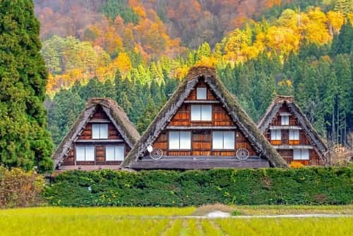 日本の白川郷と紅葉