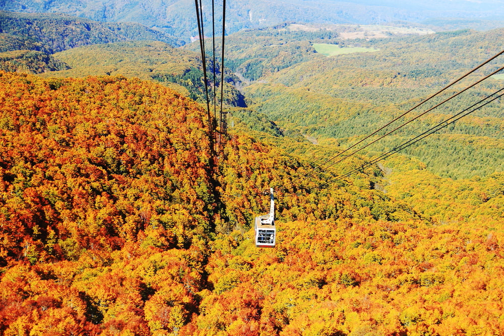 青森の八甲田山