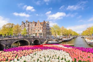 amsterdam canal cruise