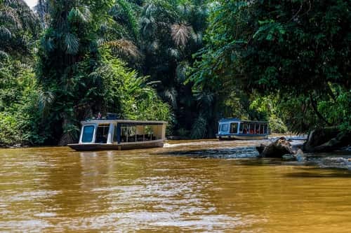 Tortuguero， 哥斯大黎加