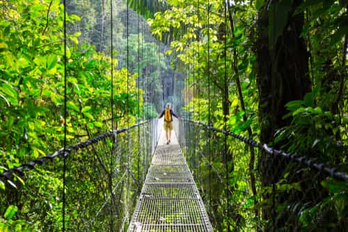 哥斯大黎加的 Canopy Walk