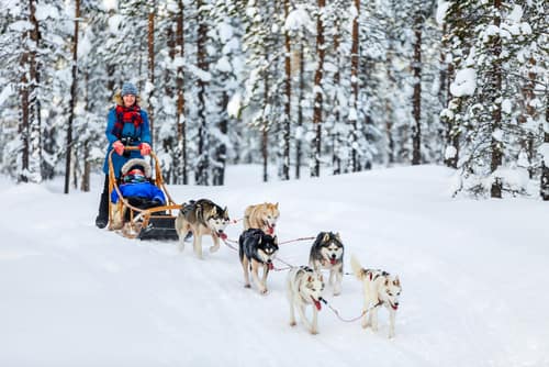 Husky Adventure