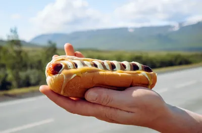 アイスランド風ホットドッグ（Pylsur）